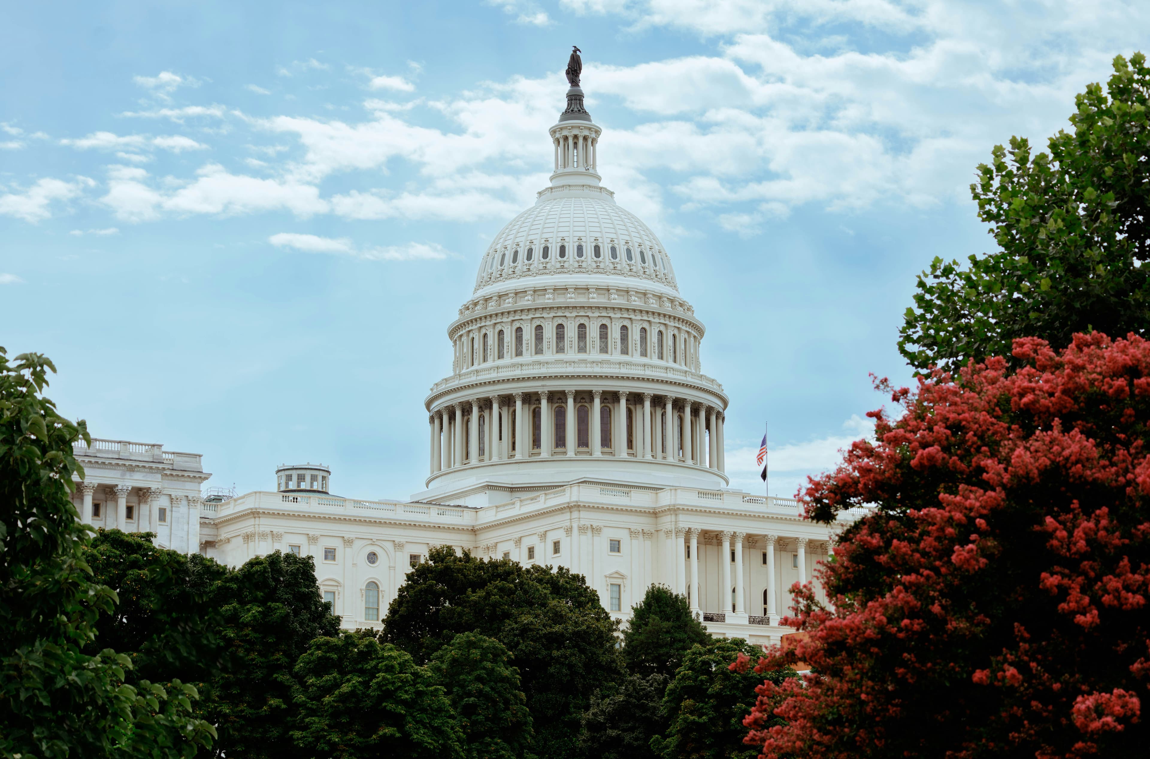 Government Contracting